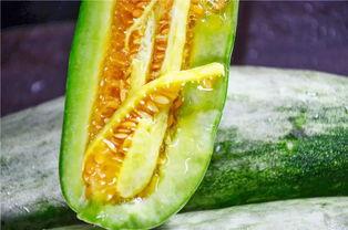 吃瓜网红 最新,揭秘网络红人的幕后故事 第3张 吃瓜网红 最新,揭秘网络红人的幕后故事 第3张